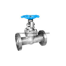 Flanged Forged Steel 800lb SUS304L Gate Valve